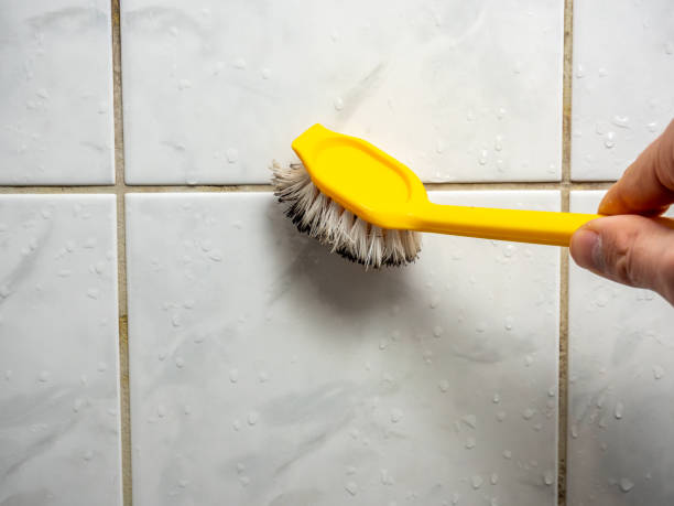 Home Mold Removal in Artesia, NM