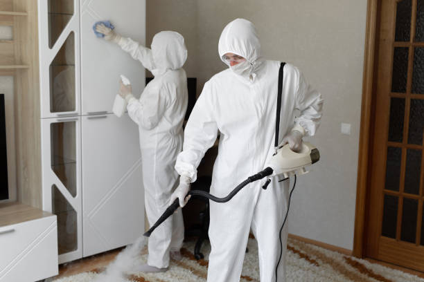 Mold Testing and Removal in Artesia, NM